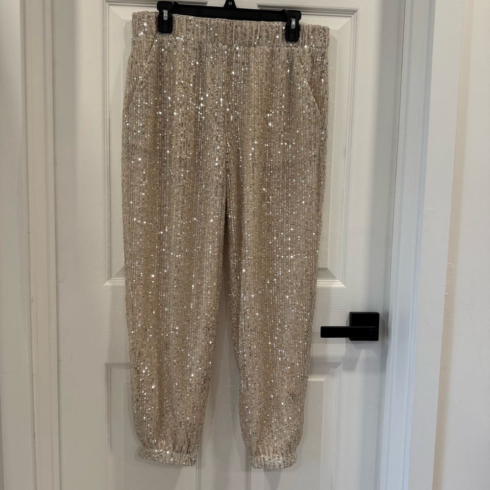 NWT Loft Sequin Pants Joggers Elastic Cuff Vertical Stripes